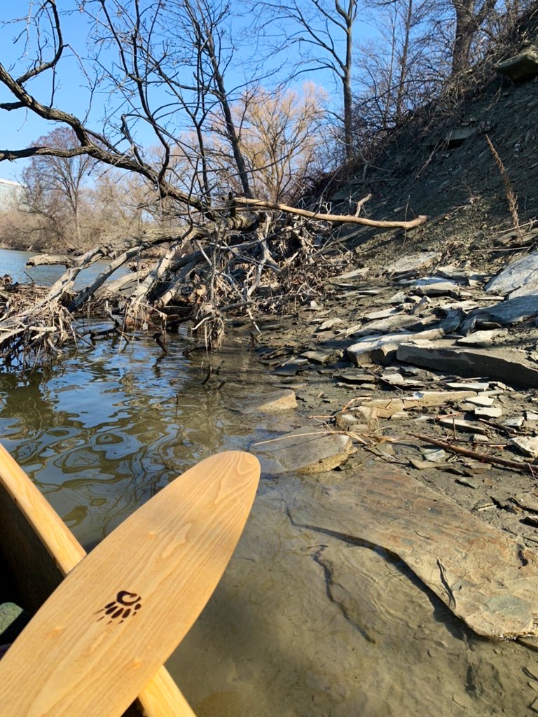 CanoePaddle